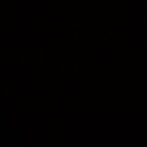 Meet your Posher, Dashunti